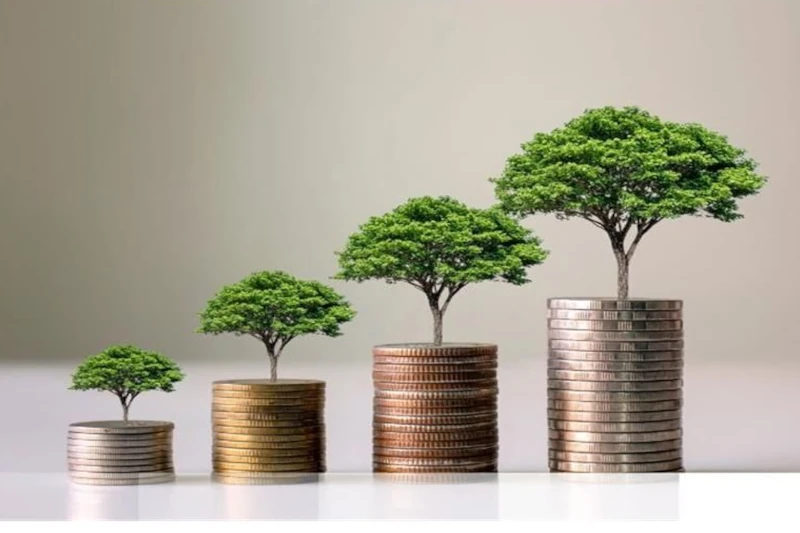rentabilidad financiera